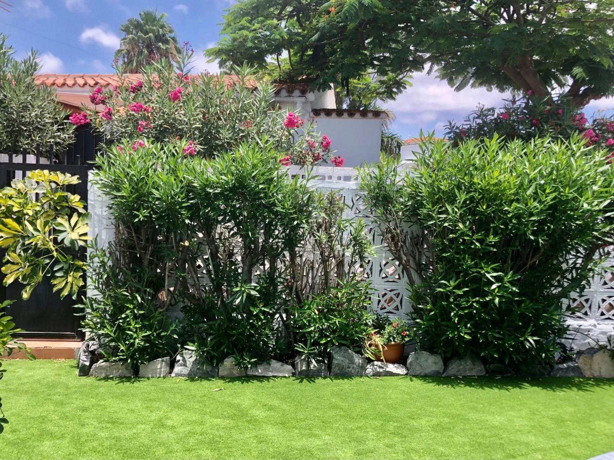 Santa Clara Bungalows Maspalomas  Esterno foto